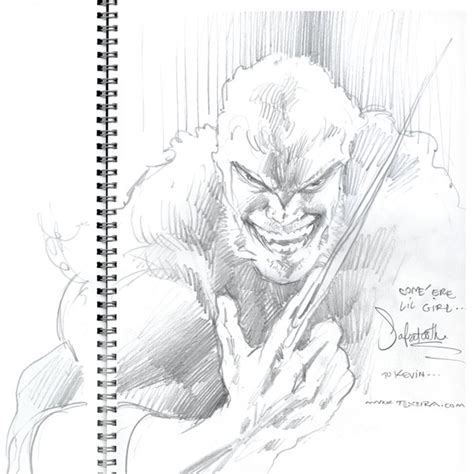 Sabretooth By Mark Texeira In Kevin Leungs The X Men Universe Comic