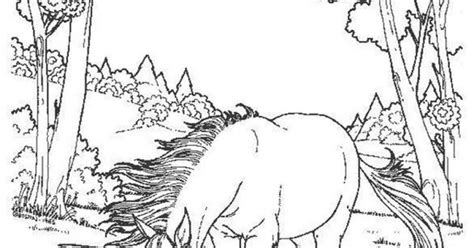 This coloring sheet shows a magnificent american unicorn. Difficult And Hard Coloring Page Of Realistic Unicorn ...