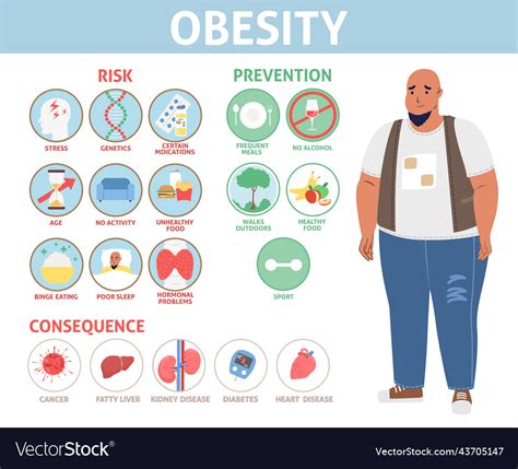 Human Obesity Info Graphic Flat Poster Royalty Free Vector