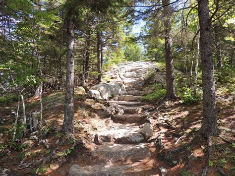 Acadia National Park Beech Mountain South Ridge Loop Maine Trail Finder