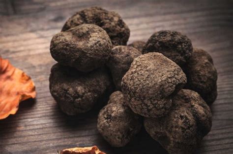 Quelle est la durée de conservation des truffes