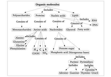 Four Types Of Biomolecules