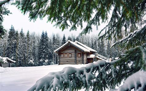 Snow Winter House Pine Needles Spruce Trees Wallpapers Hd