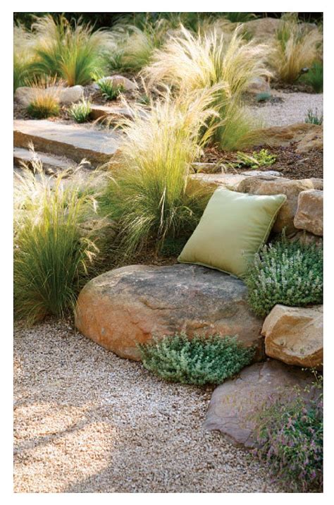 Ornamental Grasses Become Go To Plant For Landscapers Rock Garden