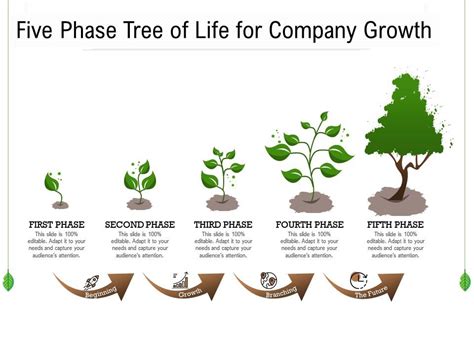 Five Phase Tree Of Life For Company Growth Presentation Powerpoint