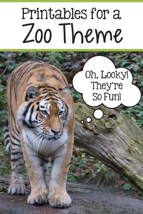 19 Homeschool Zoo Printables The Relaxed Homeschool