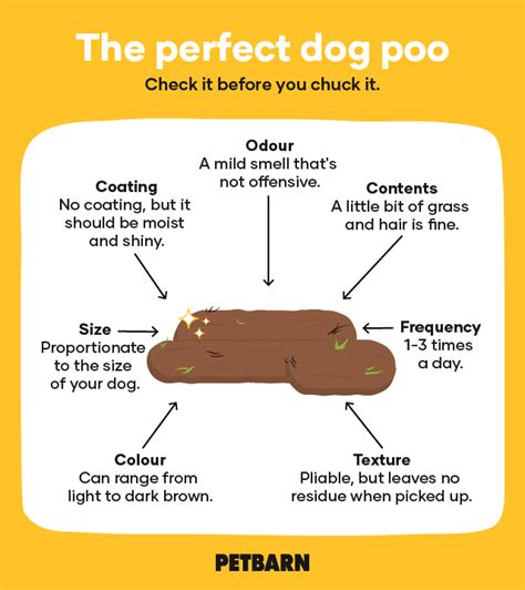 Gallery Of Bristol Stool Chart Teaching Kids Whats Normal Stool Puppy