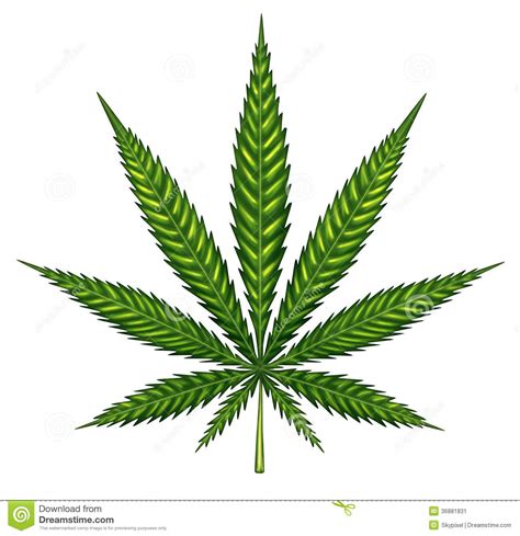 Icons for slides & docs +2,5 millionen kostenlos anpassbare symbole für ihre folien, dokumente und blätter. Marihuana-Blatt Lokalisiert Stock Abbildung - Illustration ...