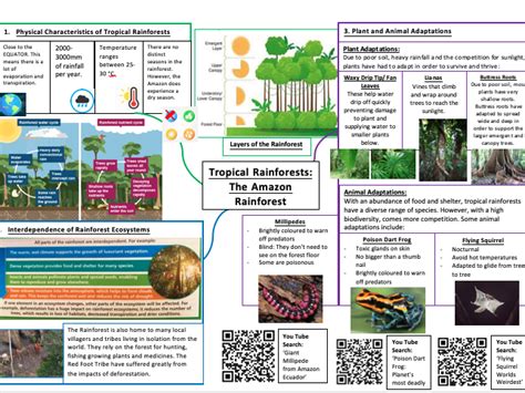 Amazon Rainforest Case Study Information Sheet Aqa Teaching Resources
