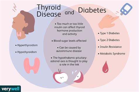 Der Zusammenhang Zwischen Schilddrüsenkrankheit Und Diabetes