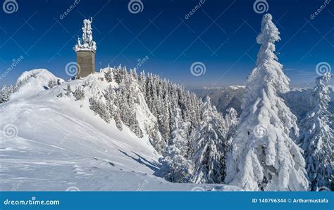 Winter Wonderland Mountains Landscape With Trees Covered In Snow And