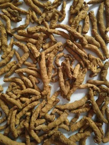 Curcuma Longa Kandhamal Odisha Turmeric Fingers Polished For Cooking