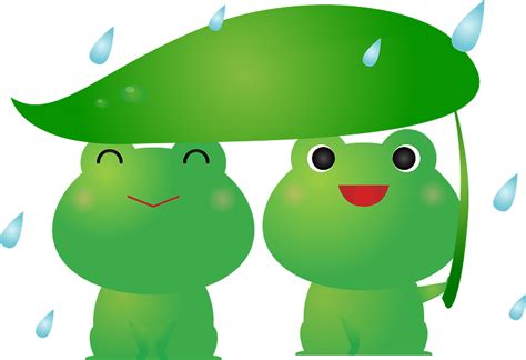 Frogs Clipart Free Download Transparent Png Creazilla