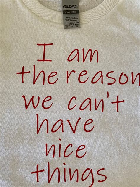 I Am The Reason We Cant Have Nice Things Funny Shirt Etsy