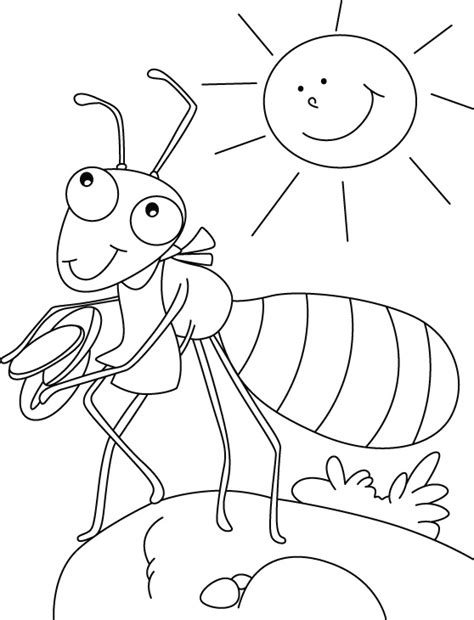 Ant coloring page | Download Free Ant coloring page for ...