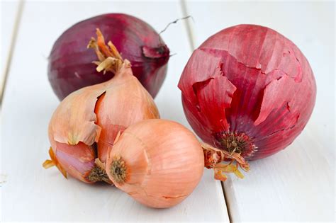 Onion The Healing Vegetable I Adore Food