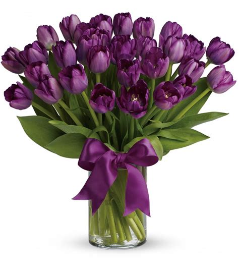 Passionate Purple Tulips Terrafolia Flowers