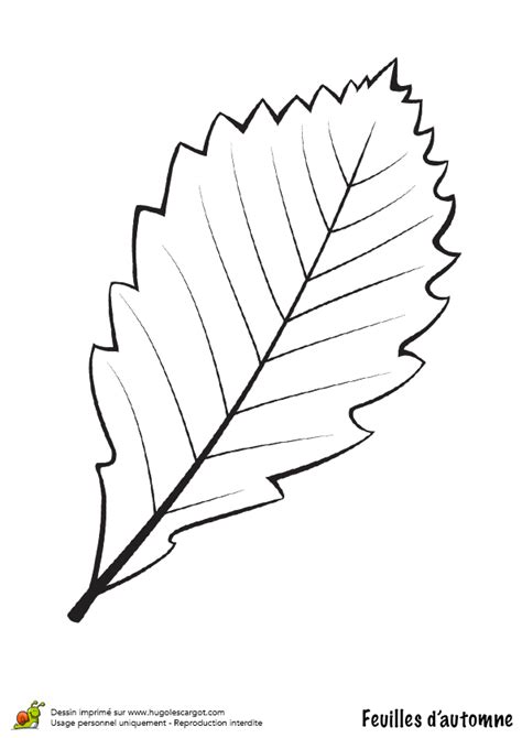 Browse the user profile and get inspired. Coloriage / dessin feuilles automne bouleau | Feuille automne, Dessin feuille et Coloriage automne