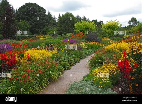 The Hot Garden In The Royal Horticultural Society Gardens At Rosemoor