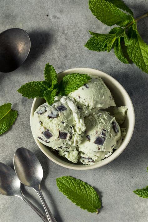 Homemade Green Mint Chocolate Chip Ice Cream Stock Photo Image Of