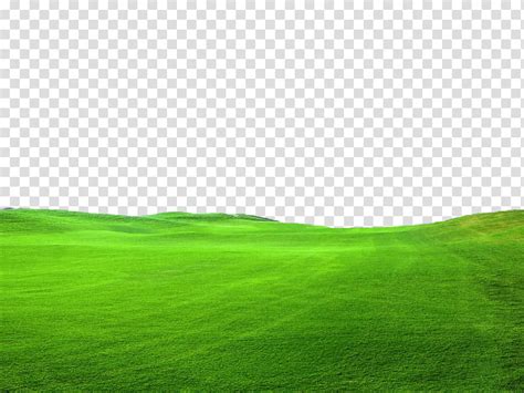 Green Grass File Use Freely Green Grass Field Illustration Transparent