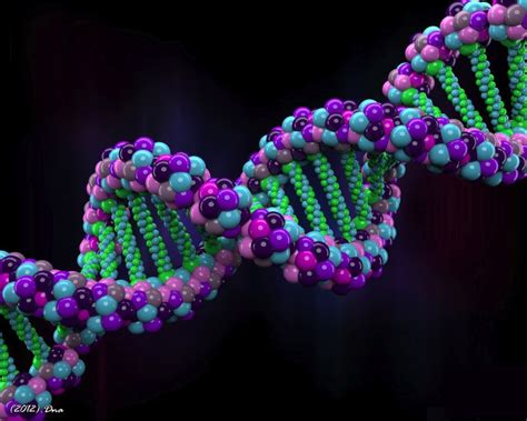 Leading Scientists Will Synthesize Human Genomes From Scratch By 2026