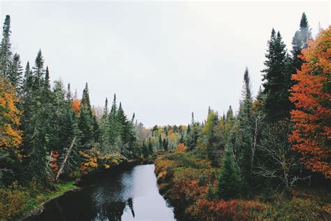 River In The Surrounding Trees Photo Free Fall Image On Unsplash