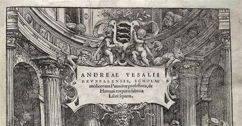 Vesalius Dissecting A Human Body Illustration World History