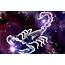 Scorpio Zodiac Sign 12 Hidden Secrets  AstroKapoor
