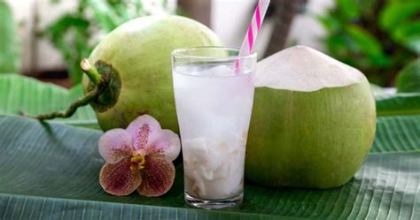 Daging putih kelapa juga dapat dikonsumsi, karena sehat bagi ibu dan janin. Berbuka Dengan Air Kelapa Ni Banyak Khasiatnya - Islam Itu ...