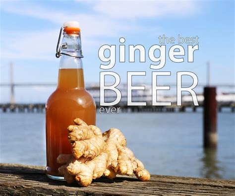 Best Ginger Beer 7 Steps With Pictures Instructables