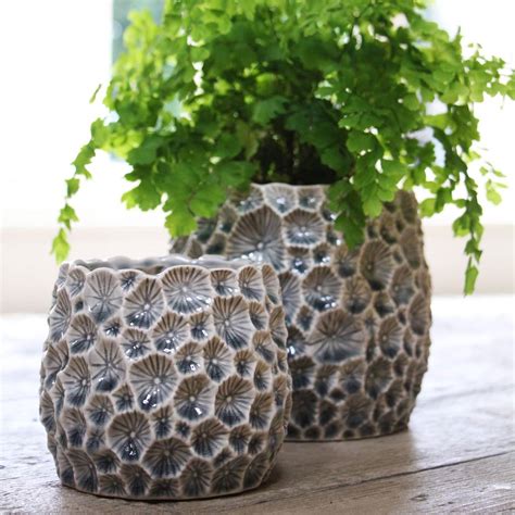 Clustered around your patio or balcony, garden pots instantly add a casual finishing touch and brilliant colors. Decorative Grey Crater Ceramic Planter Plant Pot, truly ...
