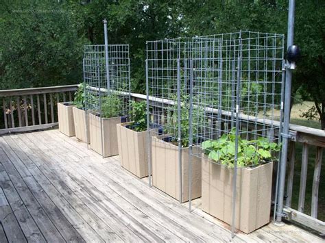 10 Deck Vegetable Garden Ideas Most Elegant And Attractive Container