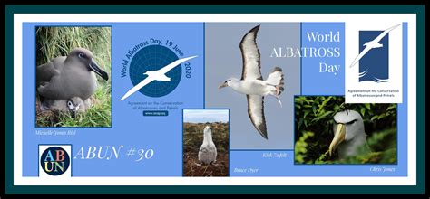Agreement On The Conservation Of Albatrosses And Petrels ‘flight Of