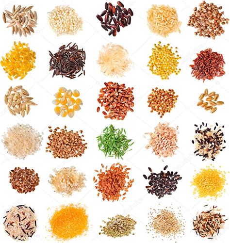 Collection Cereal Grains And Seeds — Stock Photo © Madllen 75656631