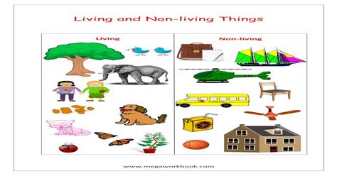 living things and non living things chart