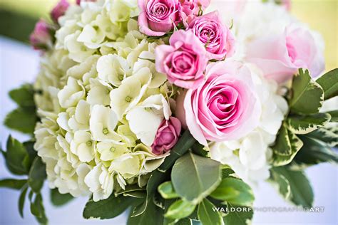 Hydrangeas And Pink Roses With Pittosporum Soft Beautiful And So