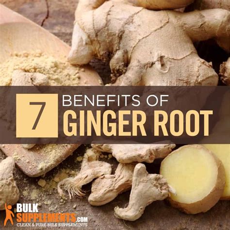 Ginger Root Benefits Side Effects Dosage