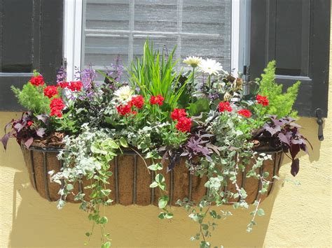 Shapes and forms of flowers for window boxes. JLL DESIGN: Window Box Ideas & More Garden Inspirations