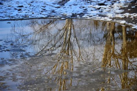 Photoproject Spring Puddles A Series Of Photos Spring Puddle In The