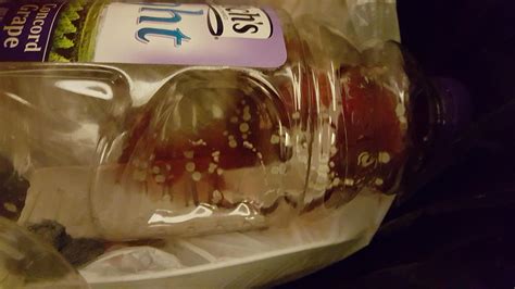 Maybe you would like to learn more about one of these? why is there mold in my grape juice??!(pics ...