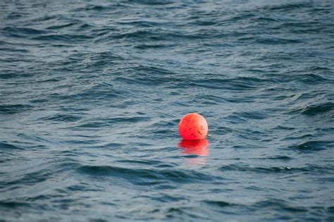 Photo Of Buoy On Body Of Water · Free Stock Photo