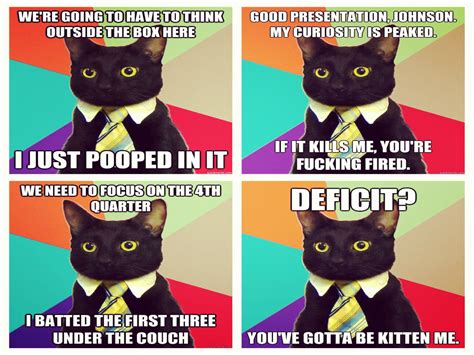 Cat Meme Quote Funny Humor Grumpy 38 Wallpapers Hd Desktop And
