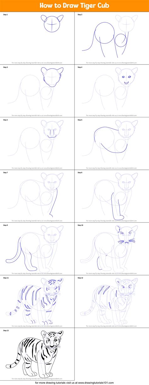 How To Draw Tiger Cub Printable Step By Step Drawing Sheet