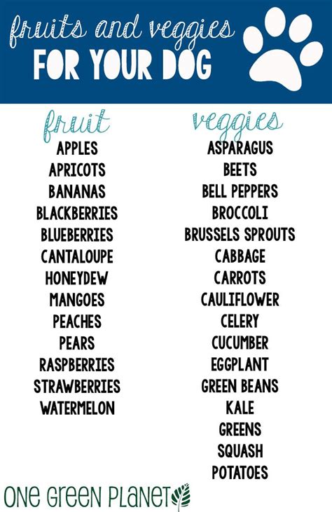 Are All Vegetables Good For Dogs