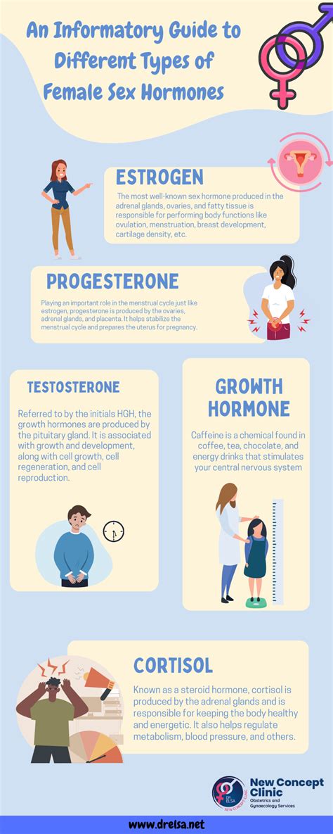 an informatory guide to different types of female sex hormones by dr elsa gynaecologist in