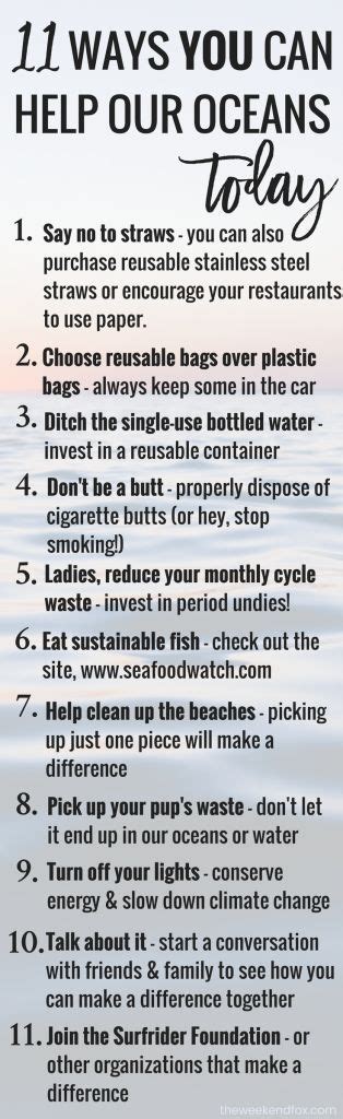 Help Our Oceans Save Our Oceans Surfrider Florida Beaches Things