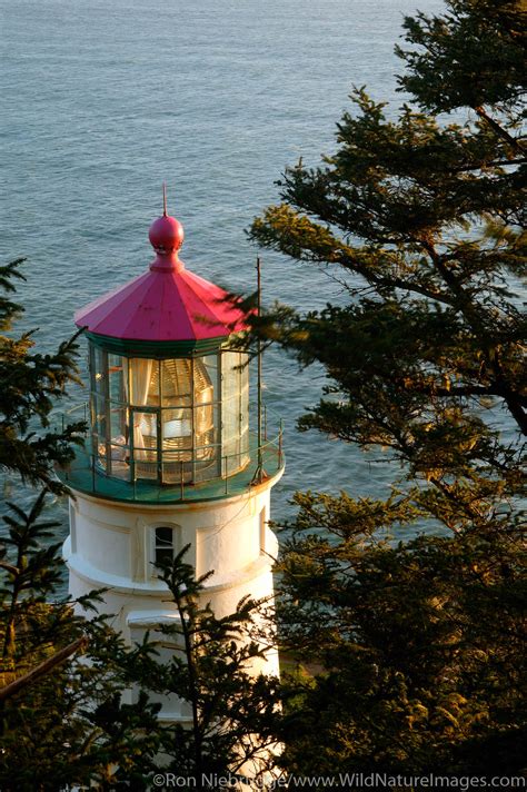 Heceta Head Lighthouse Photos By Ron Niebrugge