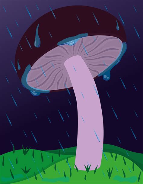 Mushroom Raining Night Free Image On Pixabay