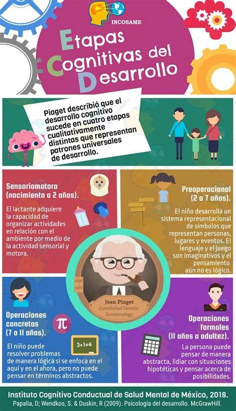 Jean Piaget Y Las Etapas Del Desarrollo Cognitivo Infografía Gesvin